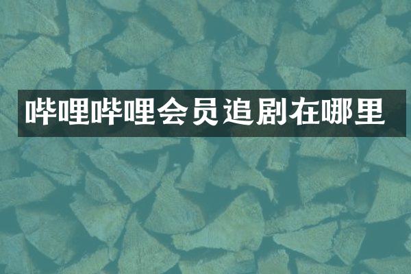 哔哩哔哩会员追剧在哪里