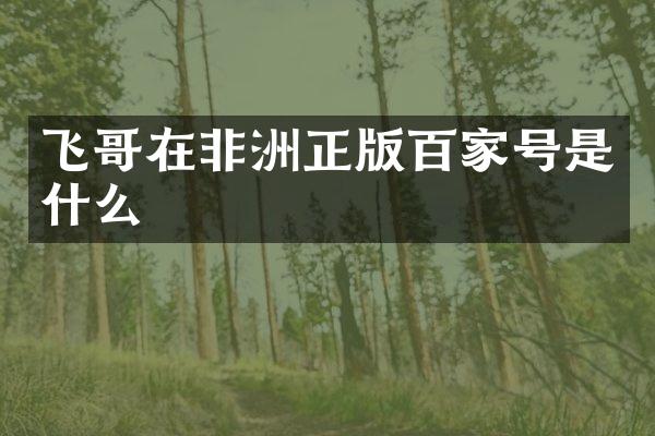 飞哥在非洲正版百家号是什么