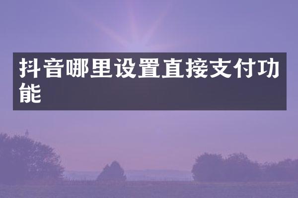 抖音哪里设置直接支付功能