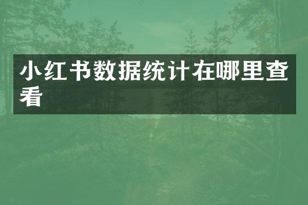 小红书数据统计在哪里查看