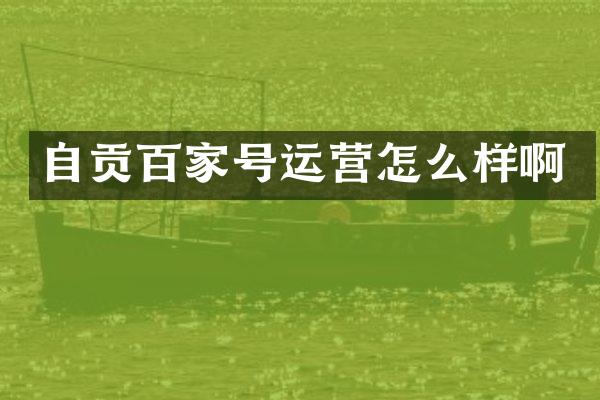 自贡百家号运营怎么样啊