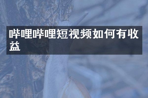 哔哩哔哩短视频如何有收益