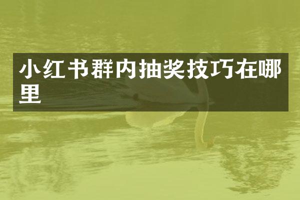小红书群内抽奖技巧在哪里