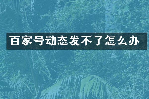 百家号动态发不了怎么办