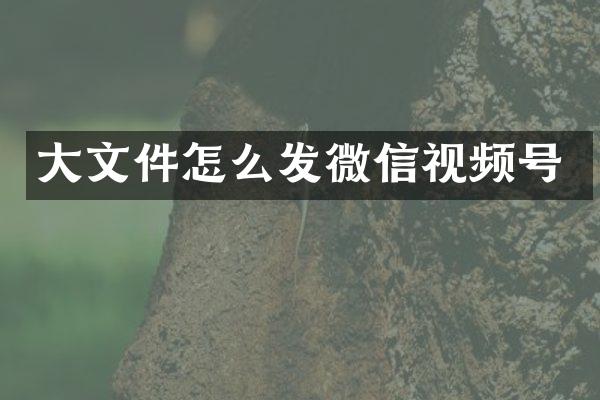 大文件怎么发微信视频号