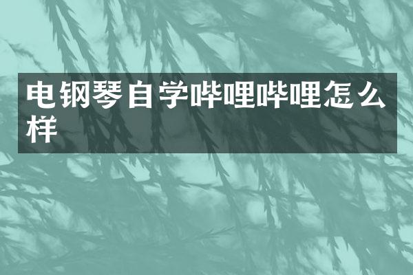 电钢琴自学哔哩哔哩怎么样