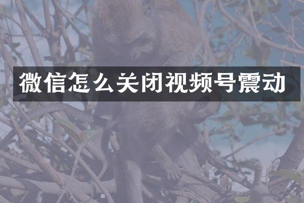 微信怎么关闭视频号震动