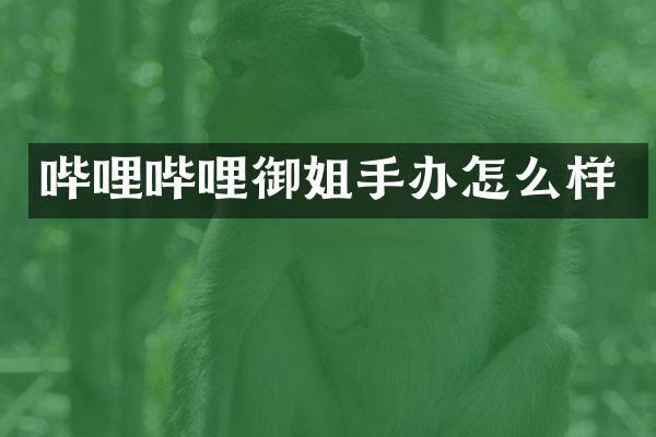 哔哩哔哩御姐手办怎么样