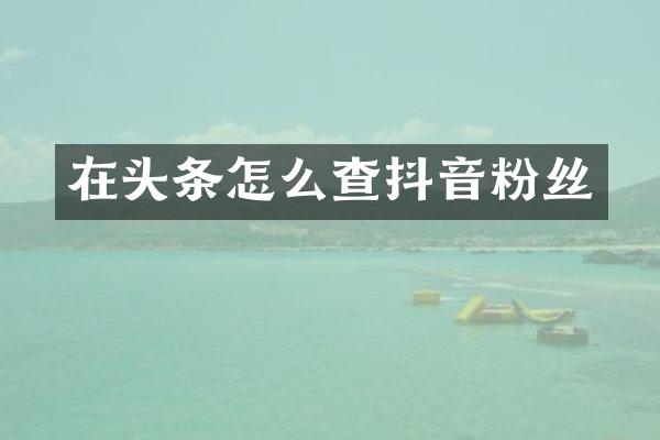 在头条怎么查抖音粉丝