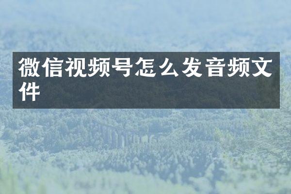 微信视频号怎么发音频文件