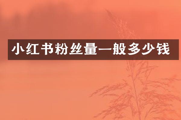 小红书粉丝量一般多少钱