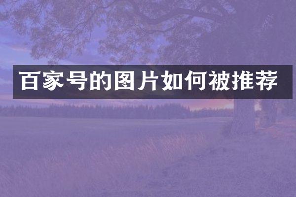 百家号的图片如何被推荐