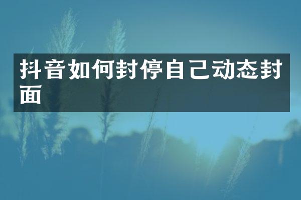 抖音如何封停自己动态封面