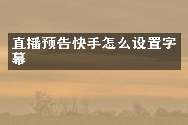 直播预告快手怎么设置字幕