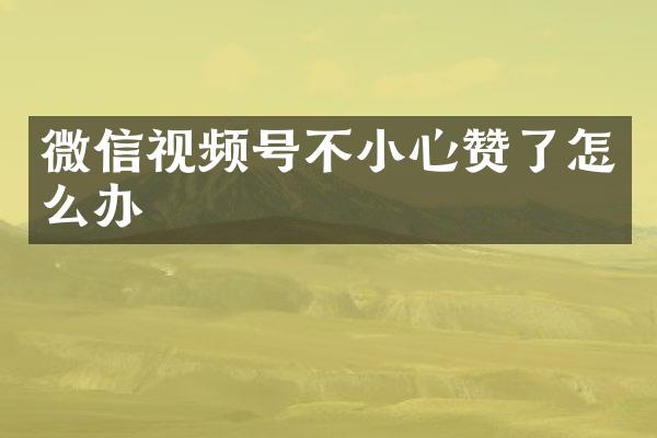 微信视频号不小心赞了怎么办