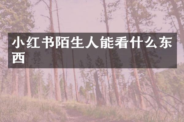 小红书陌生人能看什么东西