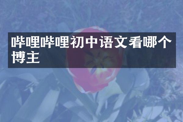 哔哩哔哩初中语文看哪个博主