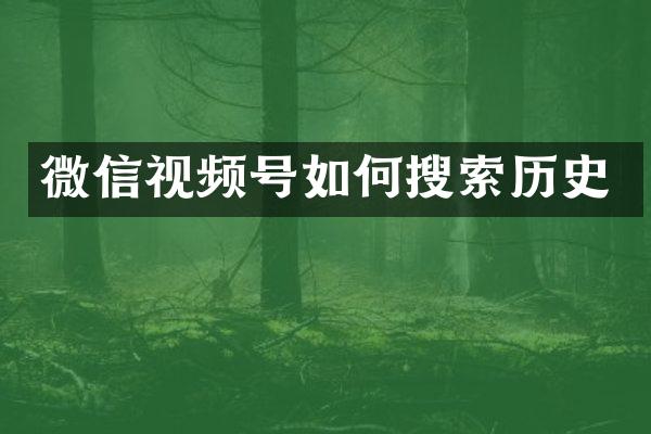微信视频号如何搜索历史