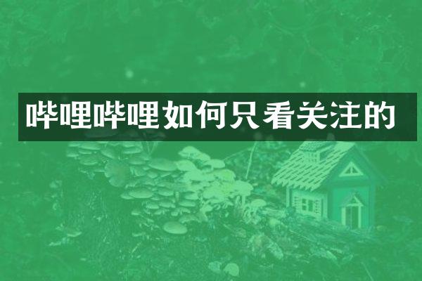 哔哩哔哩如何只看关注的