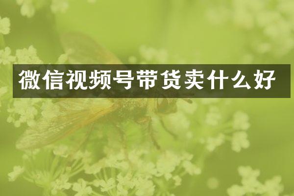 微信视频号带货卖什么好