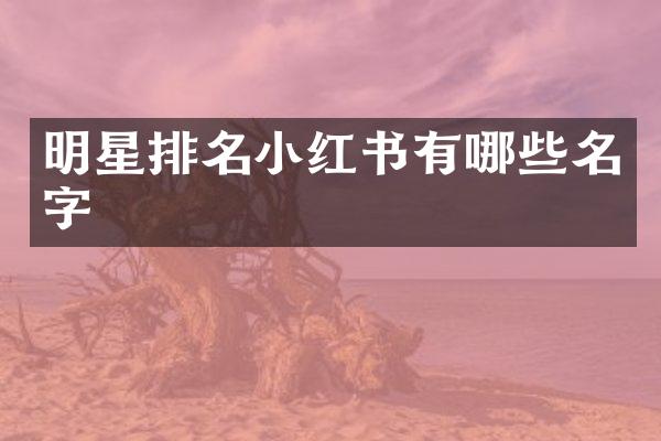 明星排名小红书有哪些名字