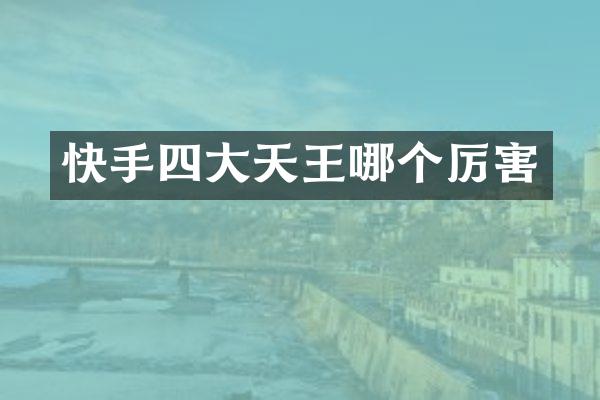 快手四大天王哪个厉害