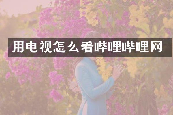 用电视怎么看哔哩哔哩网