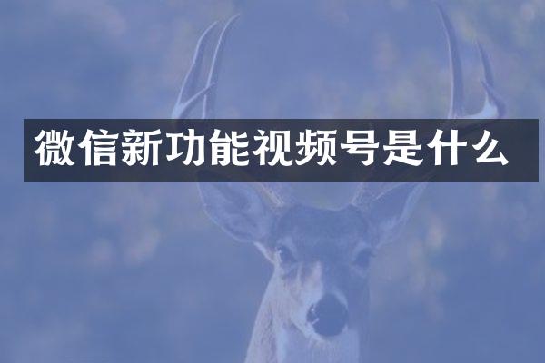 微信新功能视频号是什么