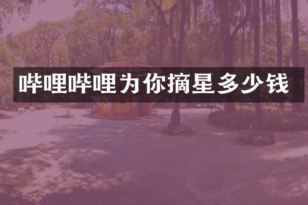 哔哩哔哩为你摘星多少钱