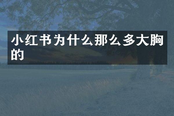 小红书为什么那么多大胸的