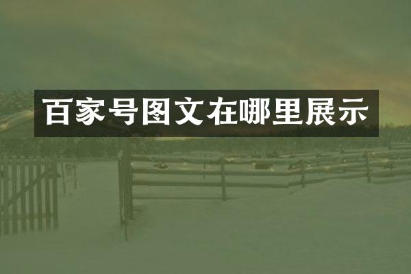 百家号图文在哪里展示