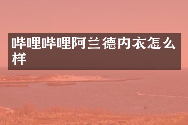 哔哩哔哩阿兰德内衣怎么样