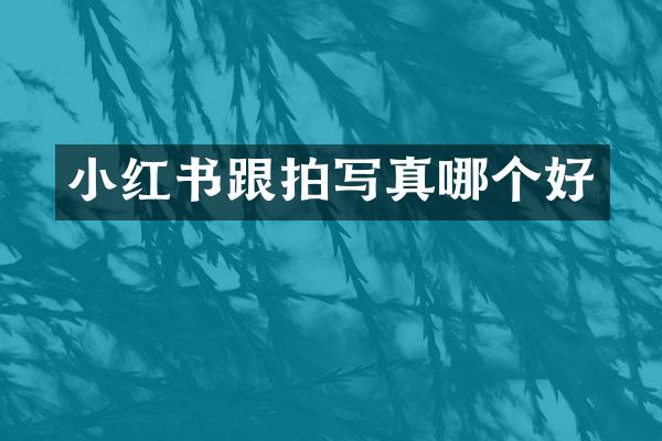 小红书跟拍写真哪个好