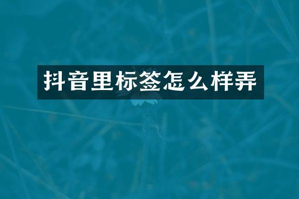 抖音里标签怎么样弄
