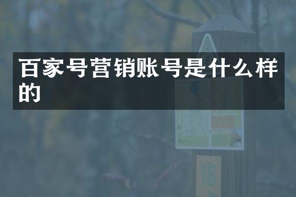 百家号营销账号是什么样的