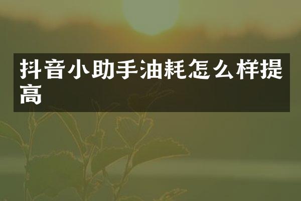 抖音小助手油耗怎么样提高
