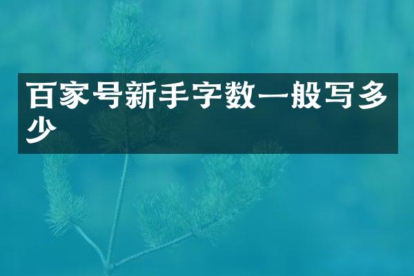 百家号新手字数一般写多少