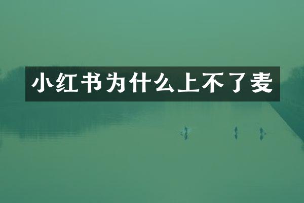 小红书为什么上不了麦