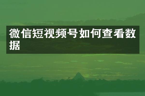 微信短视频号如何查看数据