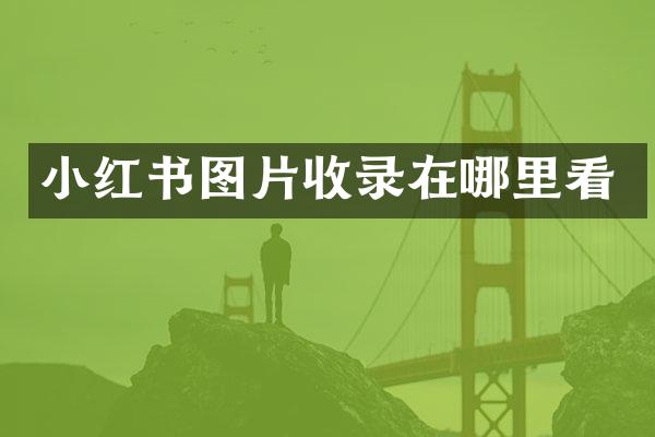 小红书图片收录在哪里看