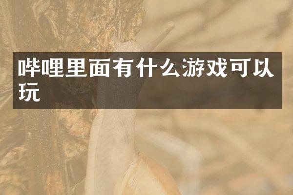 哔哩里面有什么游戏可以玩