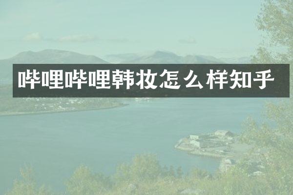 哔哩哔哩韩妆怎么样知乎