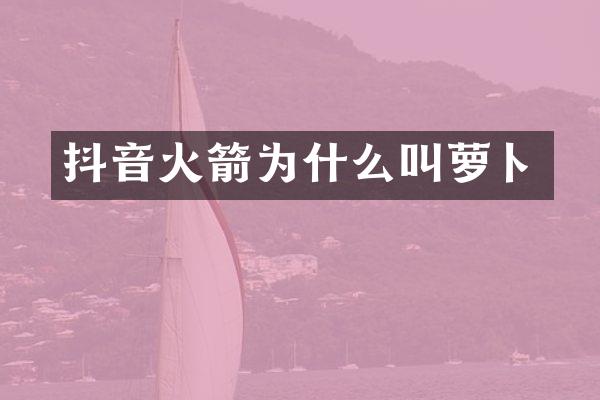 抖音火箭为什么叫萝卜