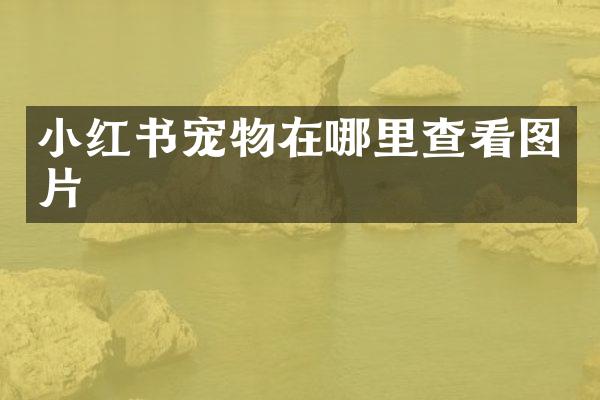 小红书宠物在哪里查看图片