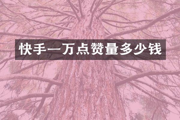 快手一万点赞量多少钱
