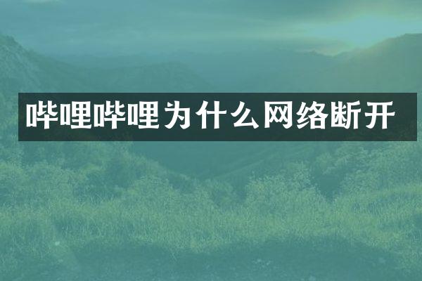 哔哩哔哩为什么网络断开
