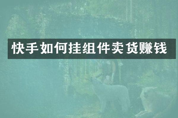 快手如何挂组件卖货赚钱