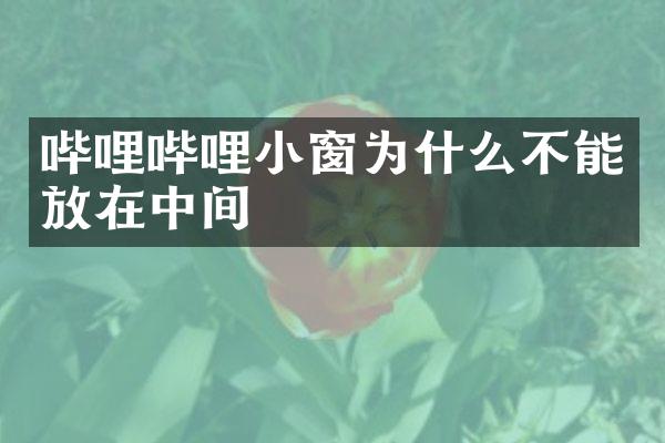 哔哩哔哩小窗为什么不能放在中间