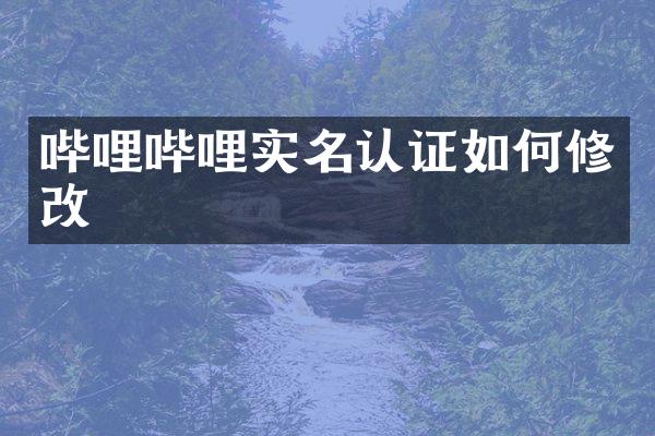 哔哩哔哩实名认证如何修改