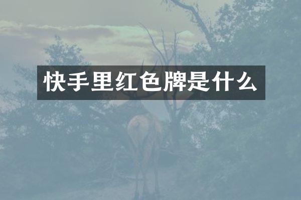 快手里红色牌是什么